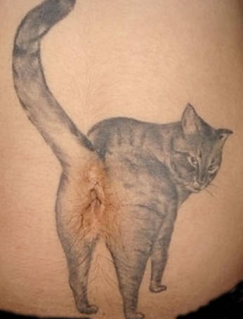 Cat Dirty Butt 103
